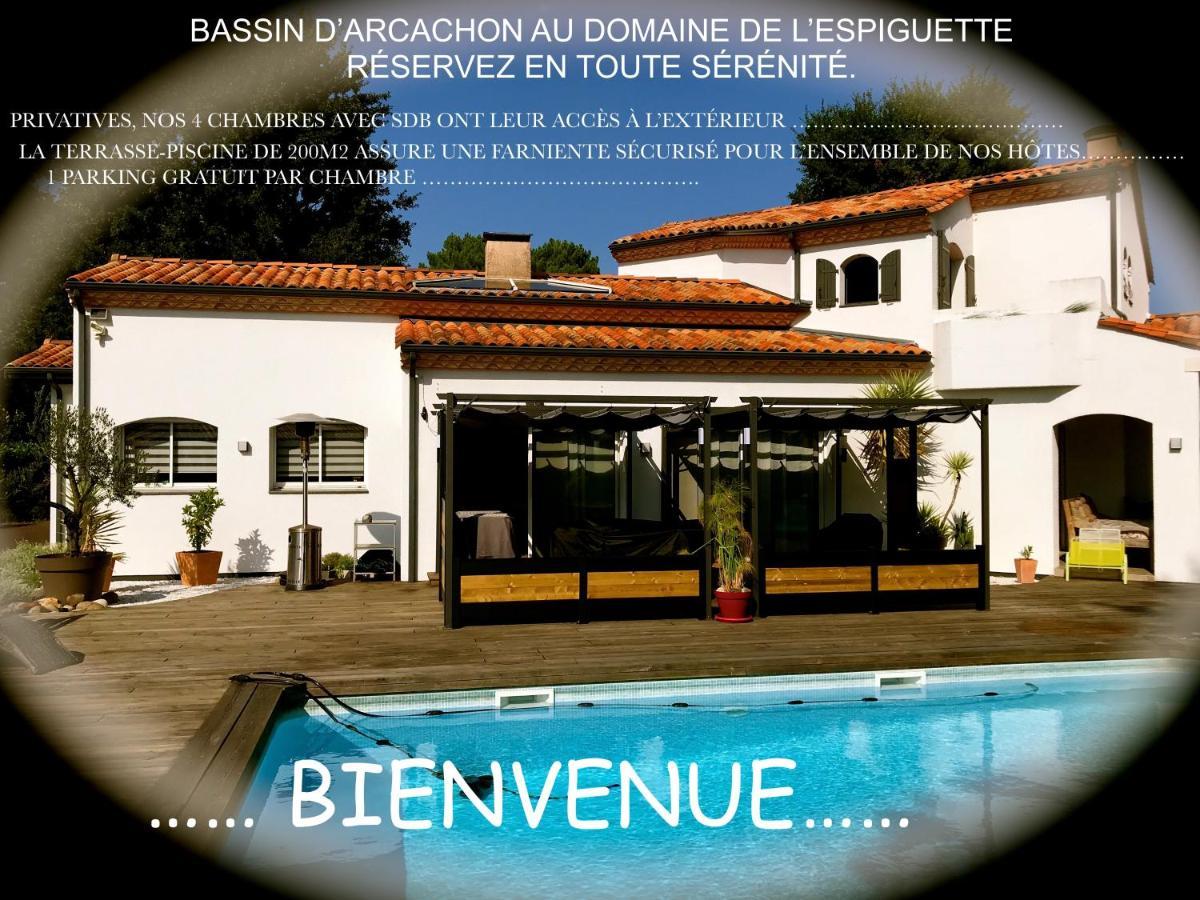 Domaine De L'Espiguette Bed & Breakfast Biganos Bagian luar foto